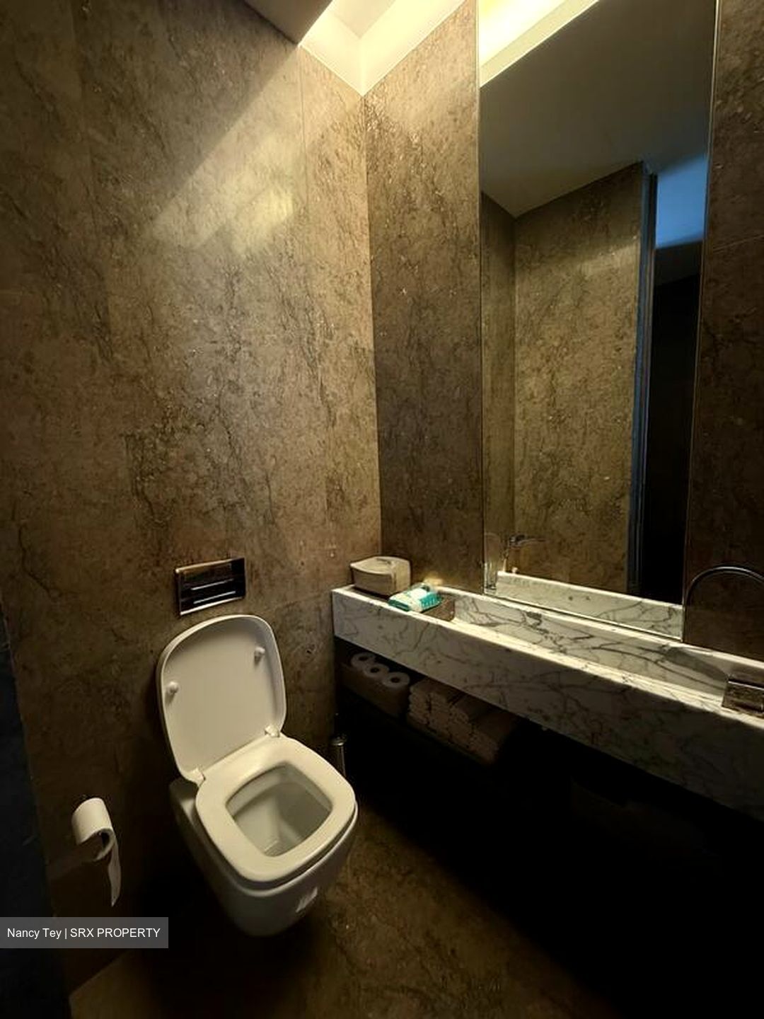 Nassim Park Residences (D10), Condominium #496928361